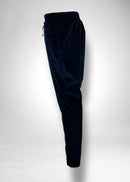 38 ALEXA TROUSERS / MICRO VELOUR TWILL - C11