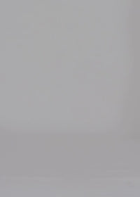 13 NESSA ACCORDION PLEATED SKIRT / OPAQUE TWILL - C14